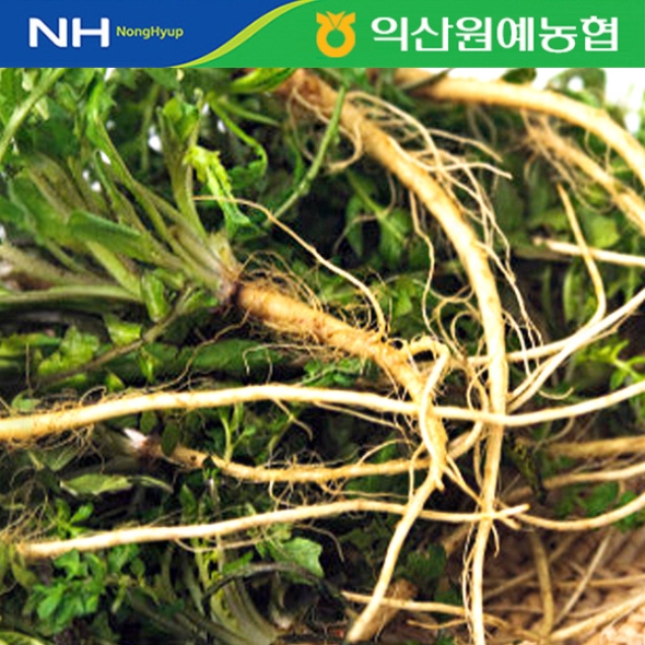  [농협] 한아름드린 제철미각 냉이 1kg/2kg