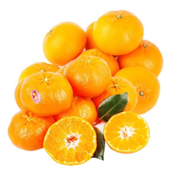 [제주향기] 탐나는 제주만감 2종묶음세트(천혜향3kg10-12과+레드향3kg10-12과)