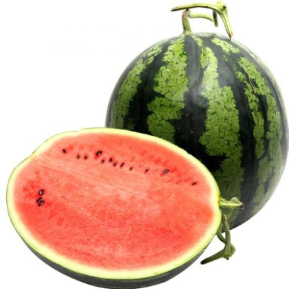 [푸토리] 신선하고 당도좋은 수박 2통 (1통당 4~5kg) / (1통당 5~6kg)