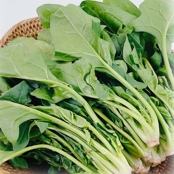 100% 국내산 - 시금치 - 500g,1kg,2kg,3kg,4kg