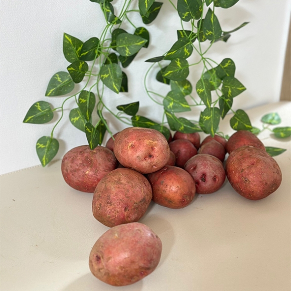 [신한카드 할인] 땅속에 사과 국내산 홍감자