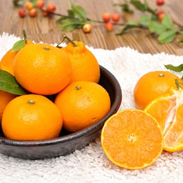 [농협] 한아름드린 한라봉/천혜향 묶음세트(한라봉3kg/15과내+천혜향3kg/15과내)