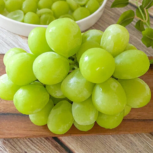 [국내산] 고당도 샤인머스켓 [1kg-2kg]