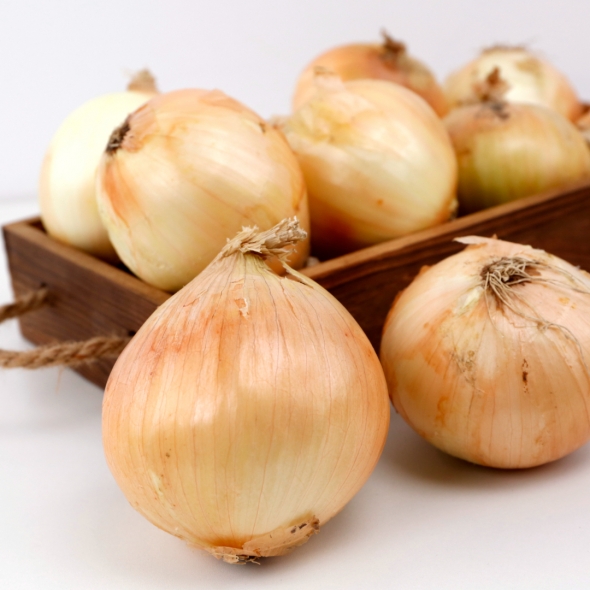 [만원의 행복] 품질보장 국내산창녕 고령 햇양파 중 대 특 3kg 5kg 10kg