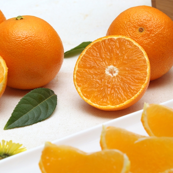  황금향 3kg(13~16과)