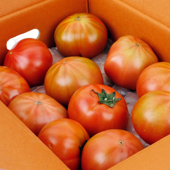 [과일예찬] 꼼꼼한 완숙토마토 2.5kg(1-2번과)