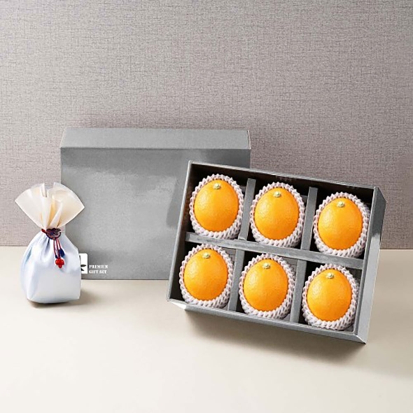 [특별할인] [흙이음] [6과수] 천혜향 명절 기프트 선물세트 