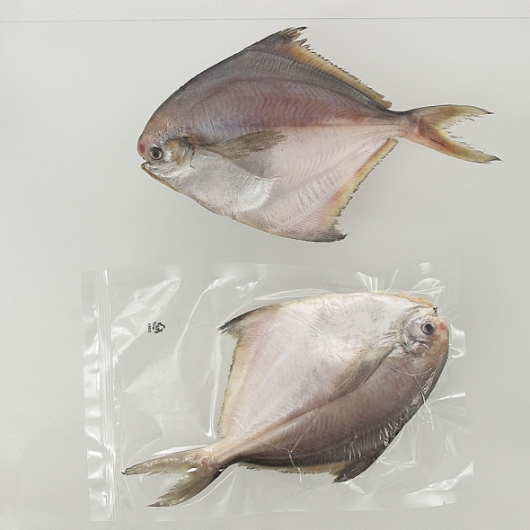 국내산 반건조 병어 150g 이상 국내산천일염 / 전남여수