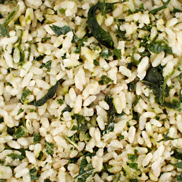 [영월농협] 강원상생 철원오대쌀로 3종 즉석밥 12팩(나물밥+영양밥+김치볶음밥 각200gx4팩)