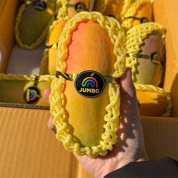 프리미엄 무지개망고(푸)