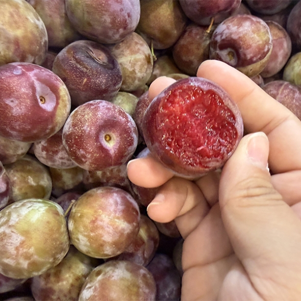 아삭한 피자두(푸)