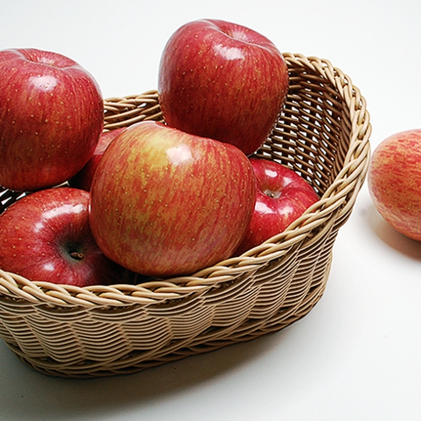 [바라봄] 정성을 담은 경북 참 사과 8kg 모음_흠집과	