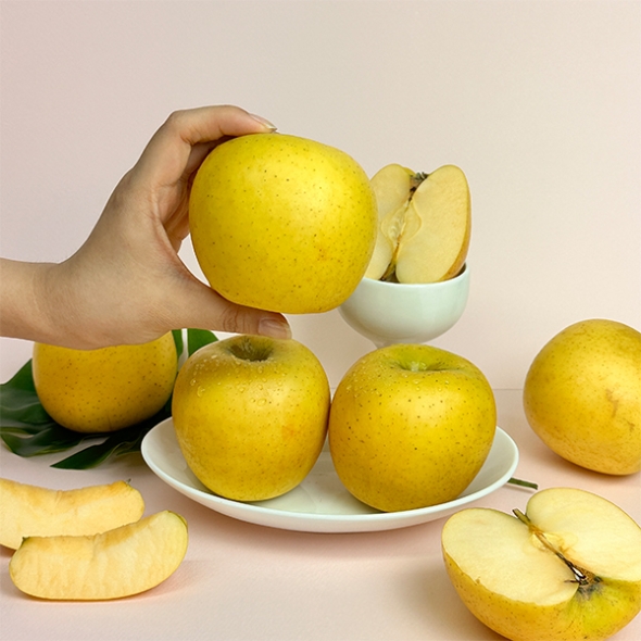 [오커캄스] 황금빛 시나노 골드 사과 2kg 3kg