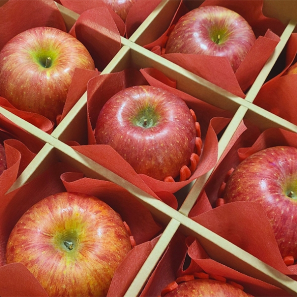 [선물세트] 있지 명품 사과세트(마)