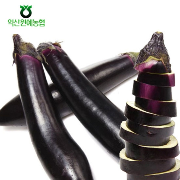 [농협] 한아름드린 제철미각 가지 1kg/2kg/5kg (특)