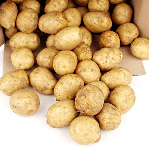 [농협공판장] 보석 하우스 햇 수미감자 3kg/5kg/10kg(조림용/60g이하)