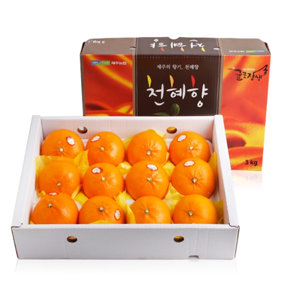 [농협공판장] 정성드린 천혜향세트 3kg(13과내)  1박스/2박스