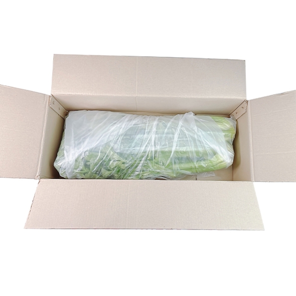 (최켓)샐러리 1kg/2kg/3kg