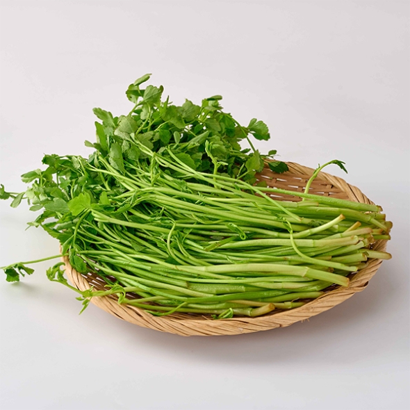 [오커최고] 청도 미나리 봄미나리