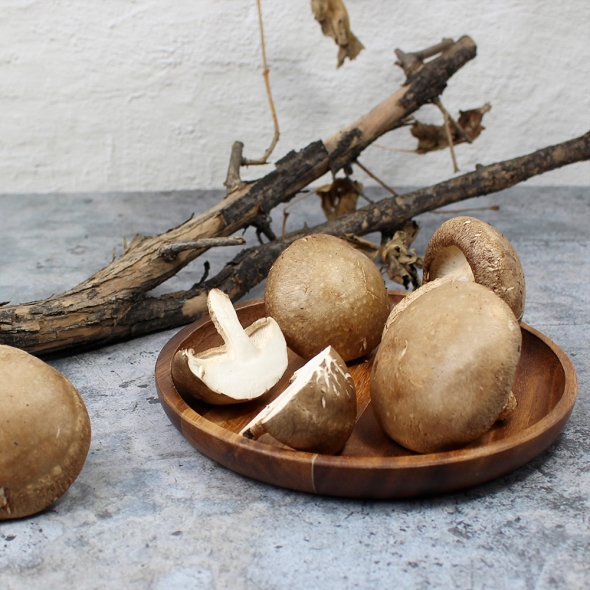 예산청년농부의 국내산 무농약 생표고버섯 1kg