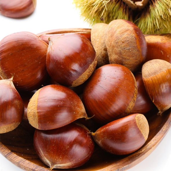 [자연속애] 충남부여 햇 알밤 1kg/2kg/3kg/5kg(특)