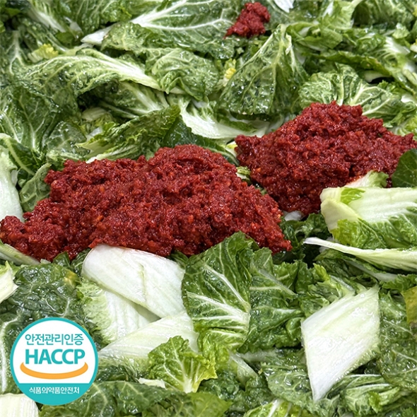 [보름데이] 전라도의 맛 봄동 겉절이(푸)