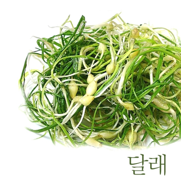 [농협] 한아름드린 제철미각 달래 1kg/2kg