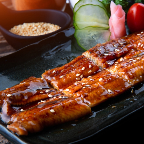 [力] 통영 자연산 바다장어 800g 손질후 500g 국내산 붕장어 아나고