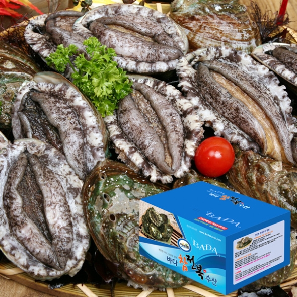 [명절특선] [완도바다참전복] 활 참전복 (소중/대특) 1kg/1.5kg/2kg 상품전(12품목)