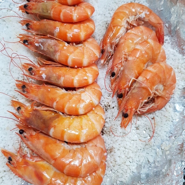 [산지직송] 전남 강진_생물 흰다리 새우 [1kg/35미 내외]