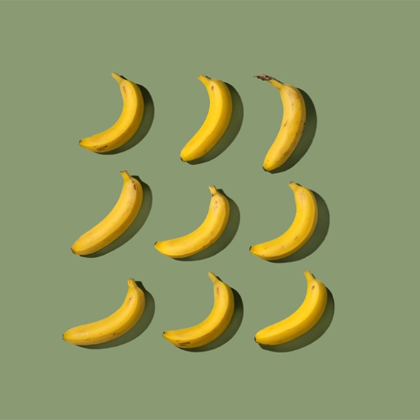 고당도 바나나(최)
