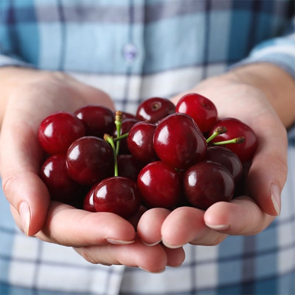 프리미엄 생체리(푸)