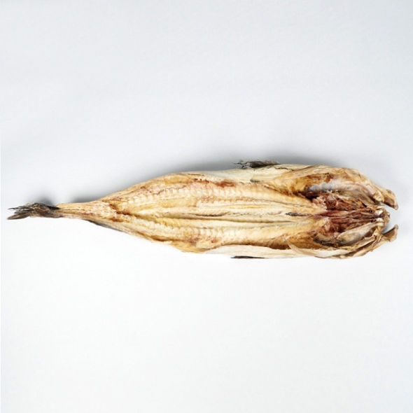 [단짠예찬] 찢는재미 통먹태 10마리(8통42-44cm)