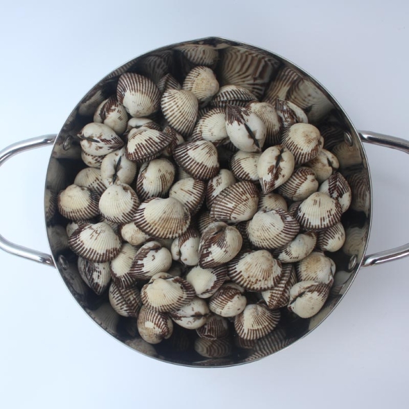 [클래식농원] 산지직송 제철 벌교꼬막 1kg / 2kg / 3kg