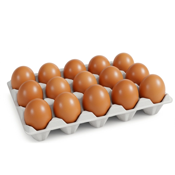 [신한카드 할인] [HACCP] 힘내란 신선 대란(계란) 15개입 / 무항생제 왕란(계란) 15개입