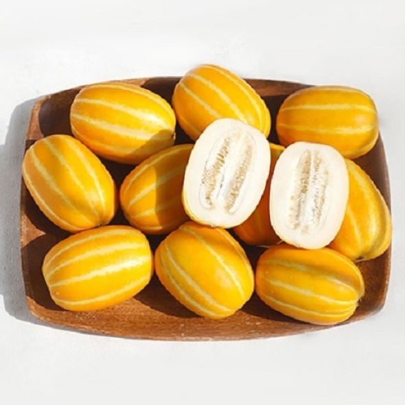 고당도 성주참외 가정용 중소과 1.5kg~5kg
