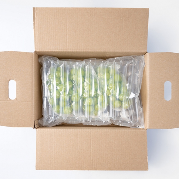 [만원의 행복] 오커최고 빛나는 샤인머스캣 1kg 2kg  샤인 머스캇