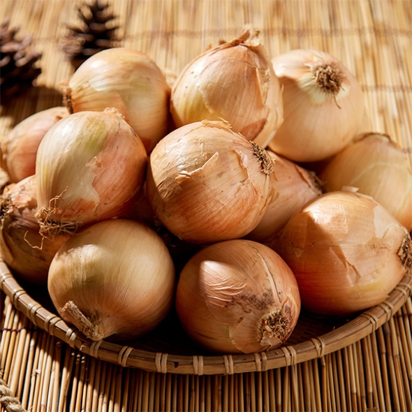 [보름데이] 국내산 만생종  양파(푸)