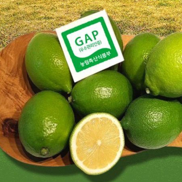 [제주] 제주 그린 레몬 [1kg-5kg]