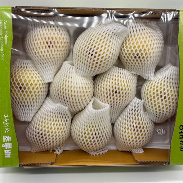 [보름데이] 달콤한 과즙이 가득 그린시스배