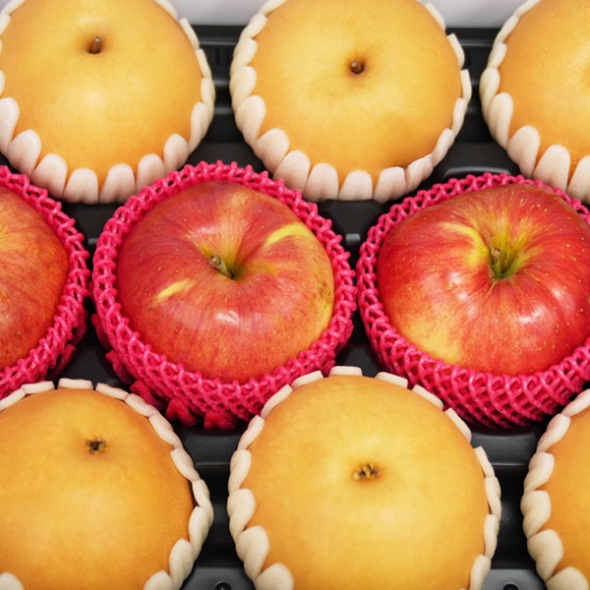 [1/19일부터 순차출고] [농협] 한아름드린 프리미엄 사과/배혼합세트 4.5kg내외(사과3과/배6과)