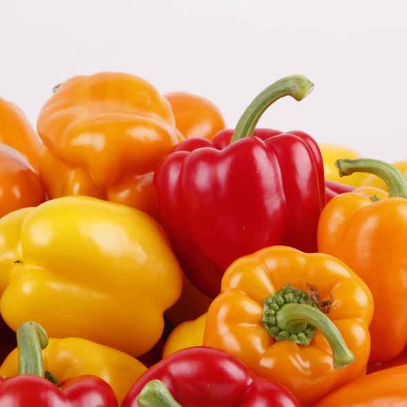 [신한카드 할인] [흙이음] 단맛과 아삭한 식감 파프리카 1kg