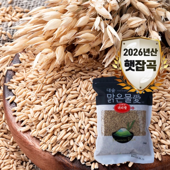 [대숲맑은물애] 26년산 영양곡물 알갱이 고소한맛 귀리쌀 1kg~5kg