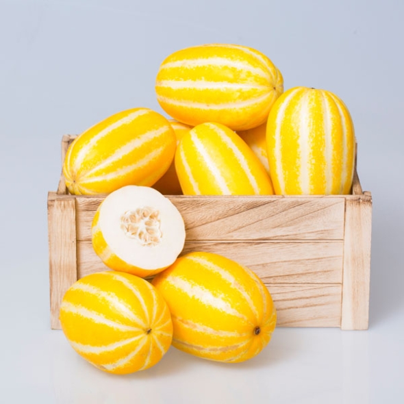 [성주참외/당도선별] 성주_꿀뚝뚝 참외 [1kg-5kg]