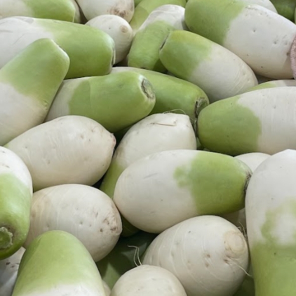 [김장최고] 제주 월동무 무우 무시 2~10kg 오커