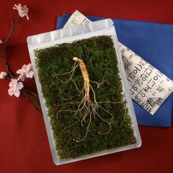 [삼모아] 섭취체험용 산양산삼 7~8년근 1뿌리(지퍼백)