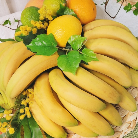 (산지)- 고당도  바나나 8-9손(13kg) 1박스