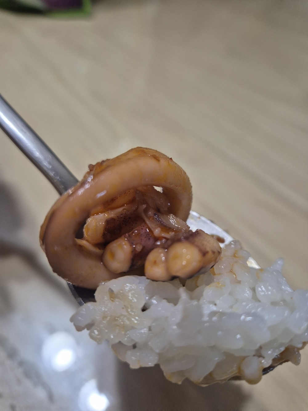 [水] 이순신수산 국내산 신진도 내장가득 통오징어 중 800g 대 1kg 조업당일 급속냉동