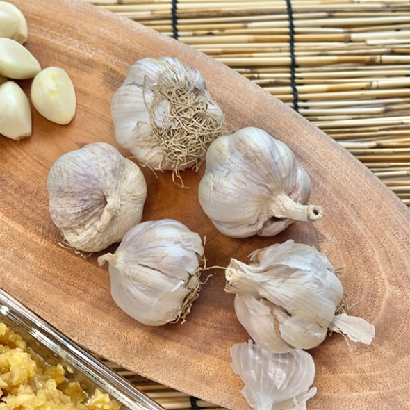 [김장철] 진하게 퍼지는  알싸한 맛의  깐마늘