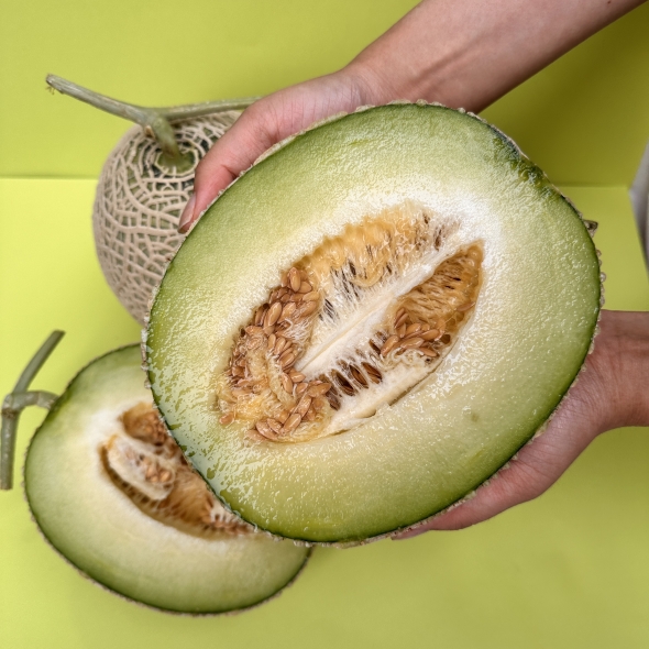 [만원의 행복] [메론캄스] 머스크 메론 1.5kg 당도선별 멜론